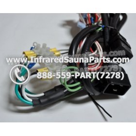 COMPLETE CONTROL POWER BOX WITH CONTROL PANEL - COMPLETE CONTROL POWER BOX GAIA 110V  220V SN20051124185 WITH CIRCUIT BOARD SN 20051124279 AND FACEPLATE AND REMOTE CONTROL WITH WIRING 4